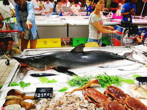 安徽超市货架现1米长鲨鱼 报价8000元